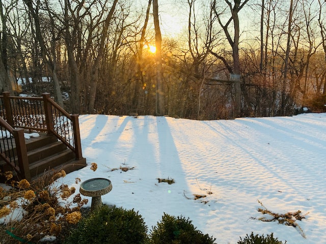 Backyard snow